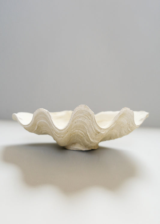 Clam Shell Dish, Small